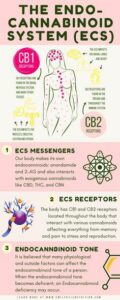 Sistema Endocanabinoide